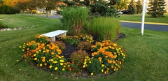 FLOWER GARDEN