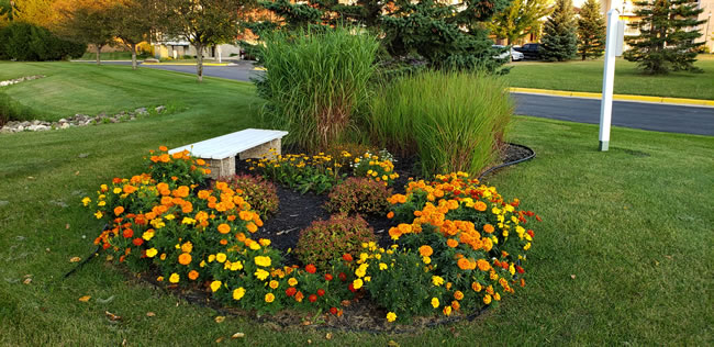 FLOWER GARDEN